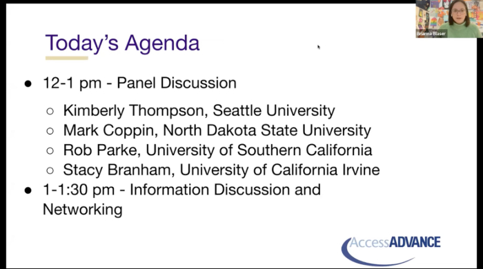 a screenshot of the webinar-Access Issues for Faculty with Disabilities