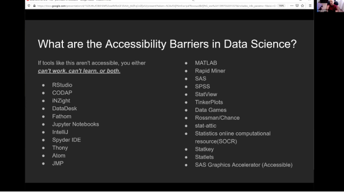 A screenshot of the webinar