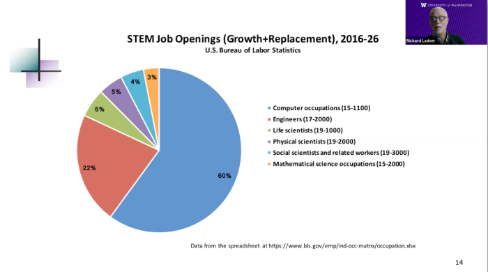 A screenshot of the webinar