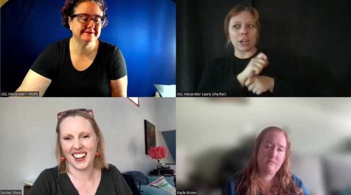 A screenshot of the webinar