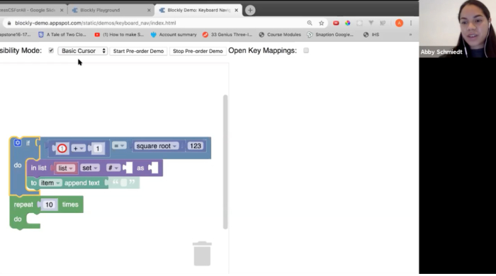 A screenshot of the webinar