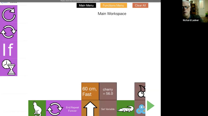 A screenshot of the webinar