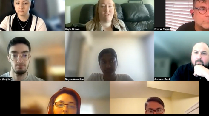 A screenshot of the webinar