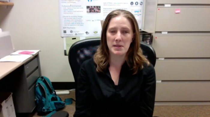 A screenshot of the webinar