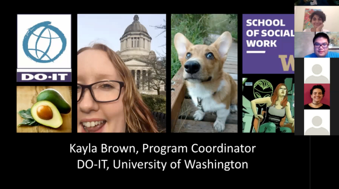 A screenshot of the webinar