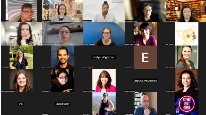 A screenshot of the webinar