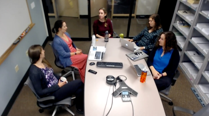 A screenshot of the webinar