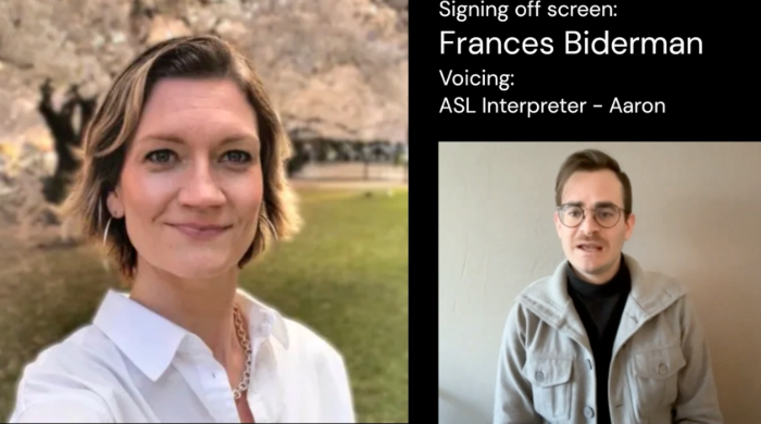 A screenshot of the webinar