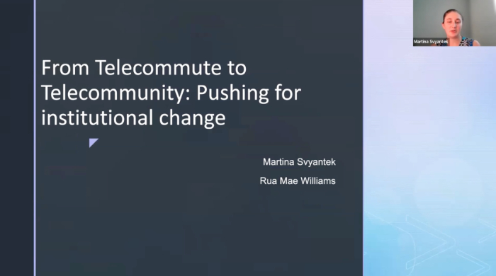 A screenshot of the webinar