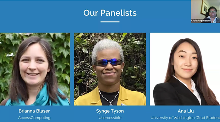 Screenshot of Zoom webinar