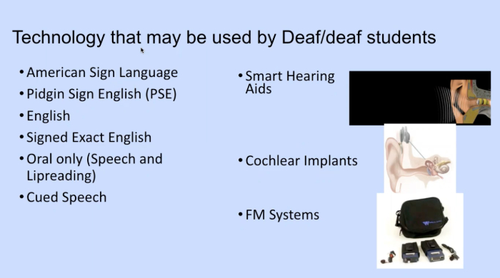 Screenshot of Zoom webinar