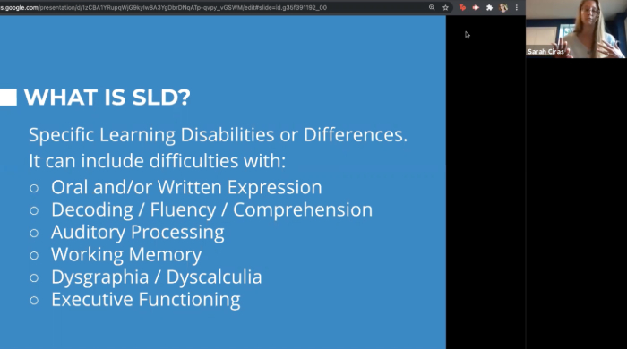 Screenshot of Zoom webinar