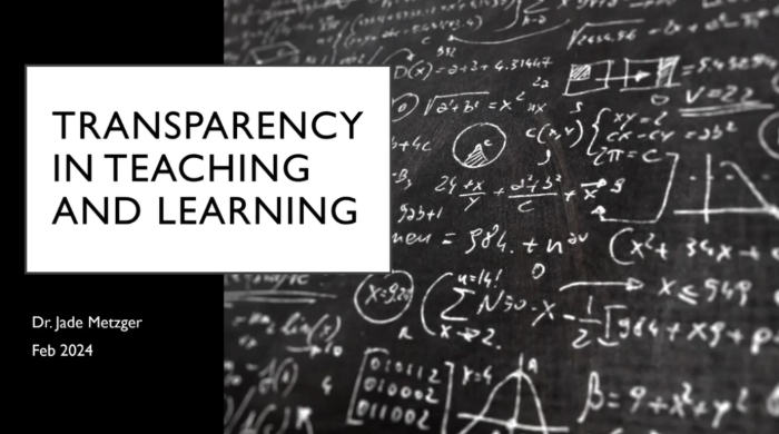 Screenshot of Zoom webinar