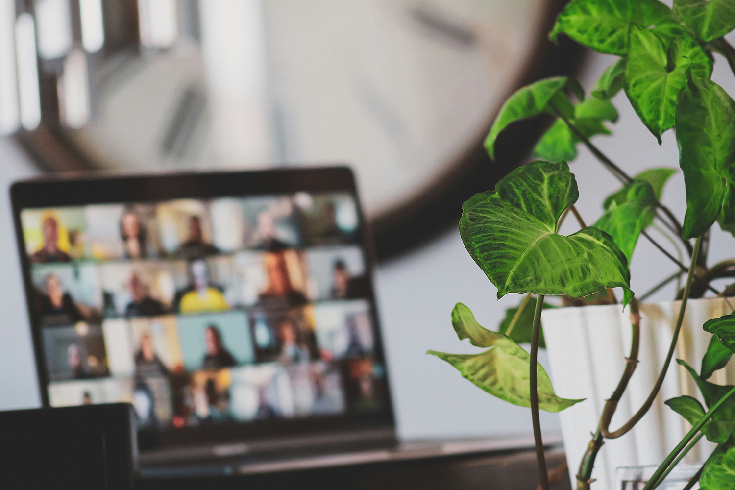 Laptop with an online meeting in progress. Laptop and screen is blurred. Laptop is sitting on a table next to a plant.